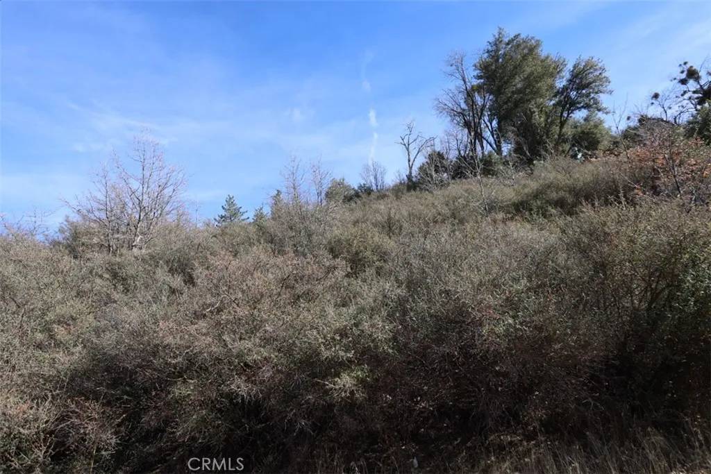 Cedar Glen, CA 92321,721 Acacia