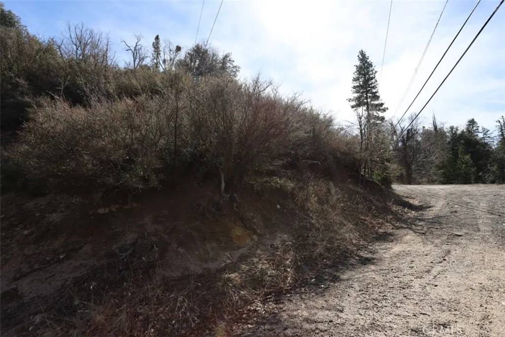 Cedar Glen, CA 92321,717 Acacia