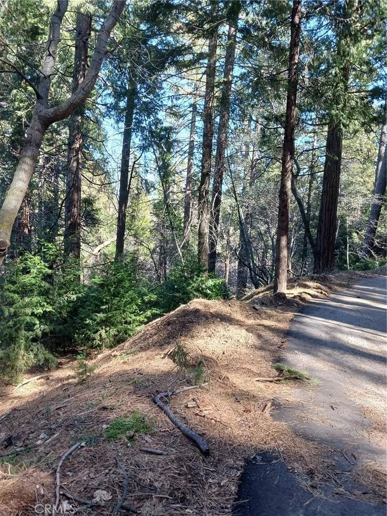 Cedarpines Park, CA 92322,687 Spring