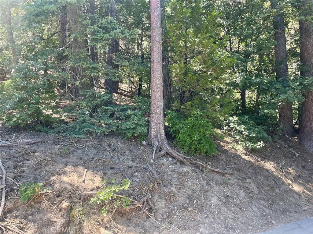 Twin Peaks, CA 92391,0 Strawberry Peak