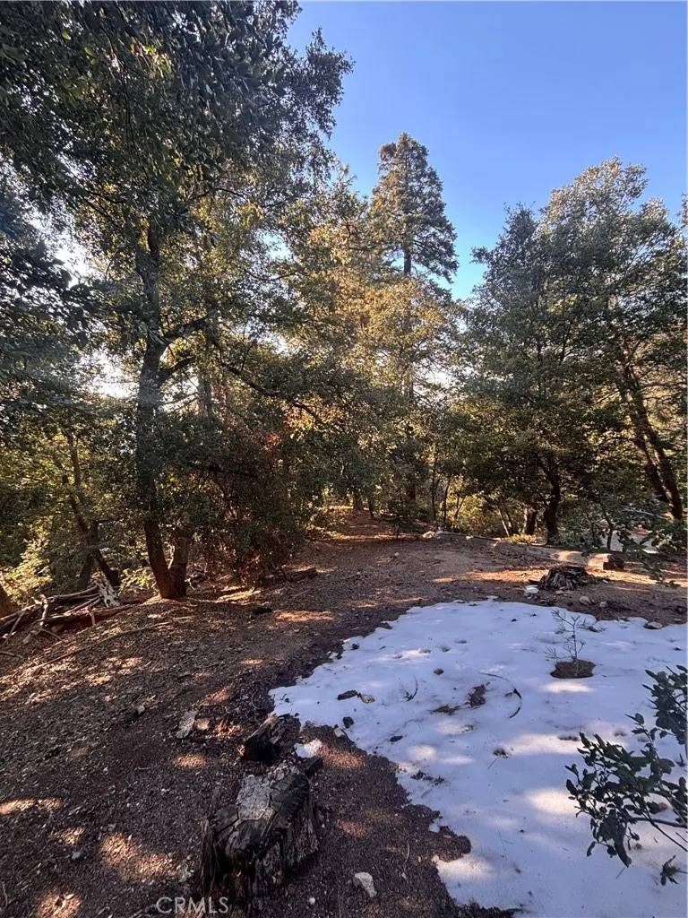 Twin Peaks, CA 92391,0 North Rd