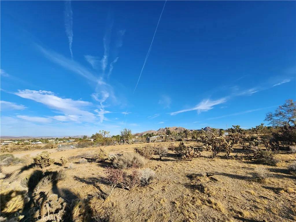 Joshua Tree, CA 92252,61329 Rocky Vista
