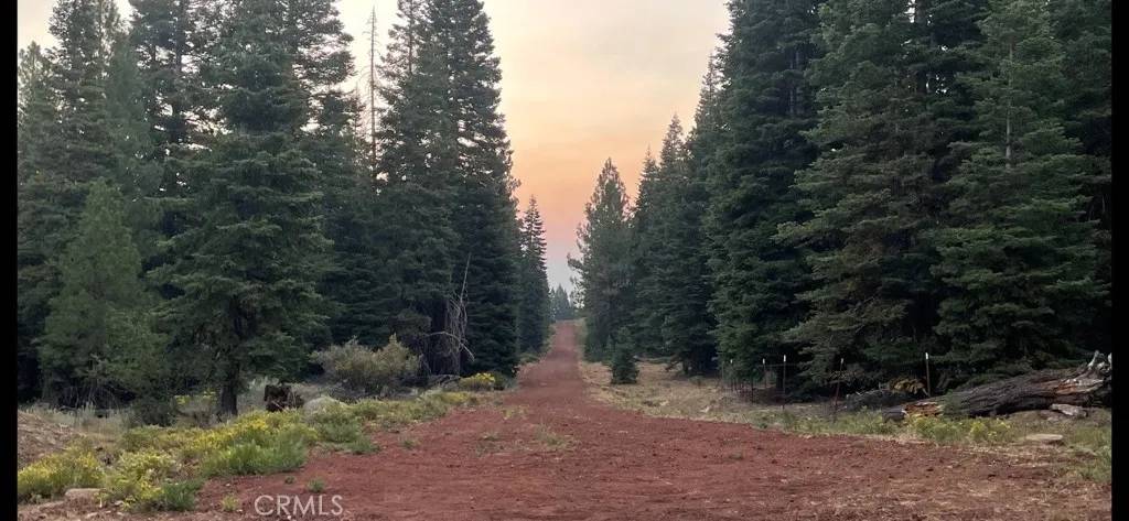 Alturas, CA 96101,0 Bobcat