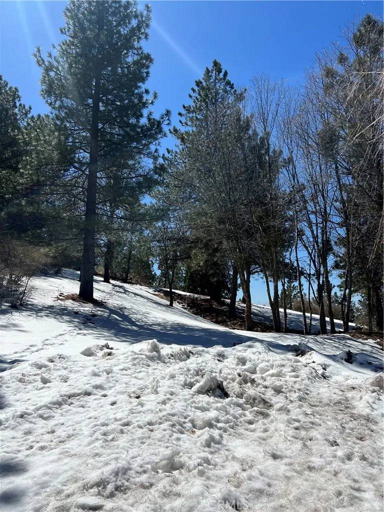 Running Springs, CA 92382,0 Sky Line