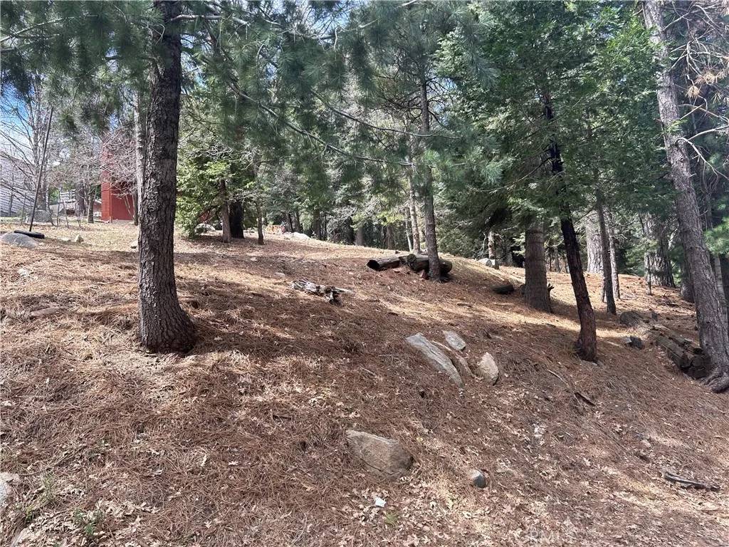Twin Peaks, CA 92391,0 Mid Ln