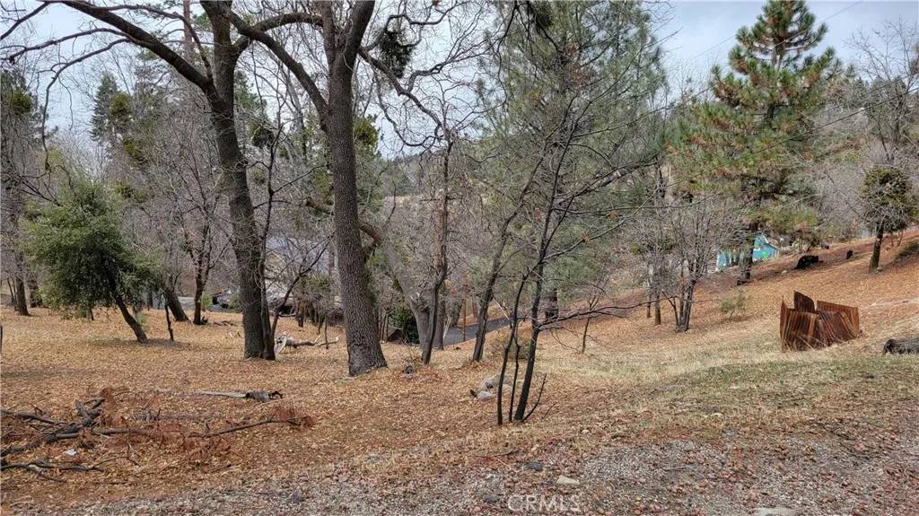 Running Springs, CA 92382,0 Winding