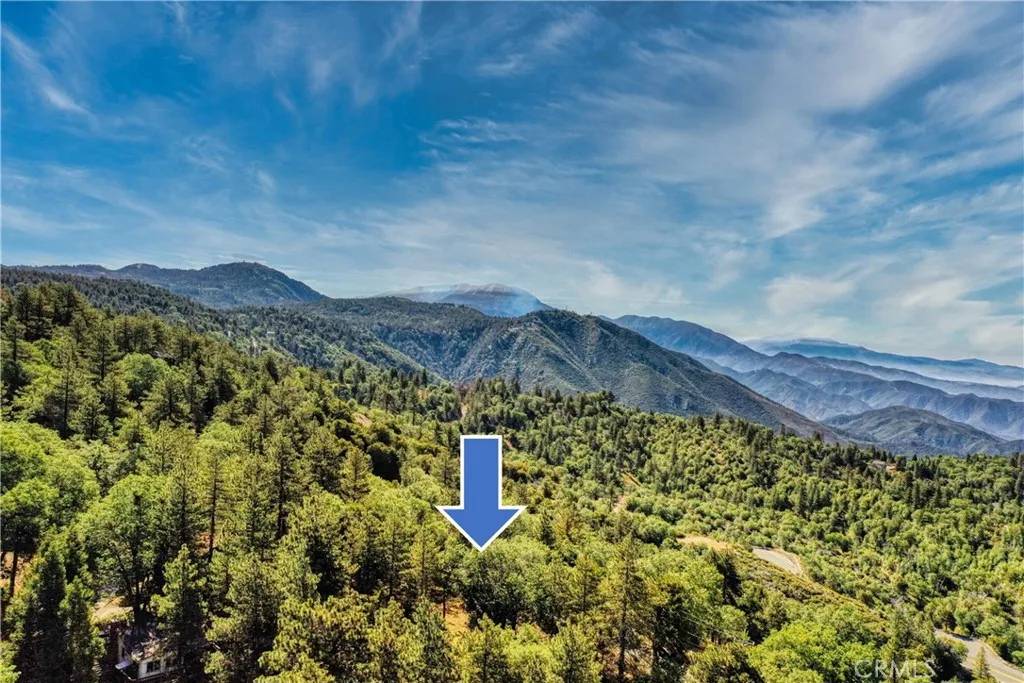 Running Springs, CA 92382,246 Ferndale Dr