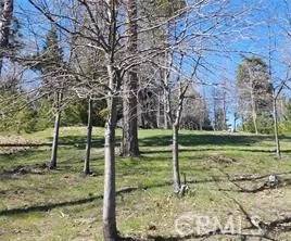 Running Springs, CA 92382,42 Park