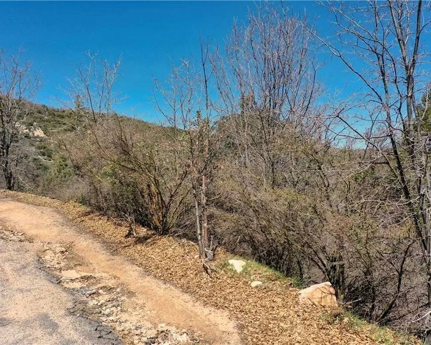 Cedar Glen, CA 92321,185 Acacia