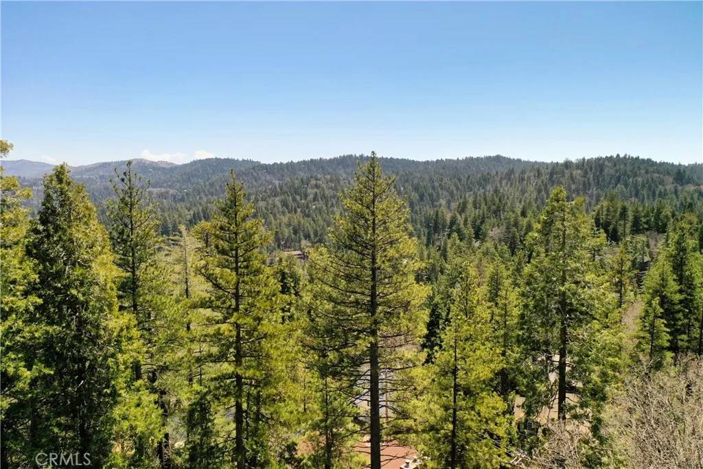 Lake Arrowhead, CA 92352,0 Old Toll