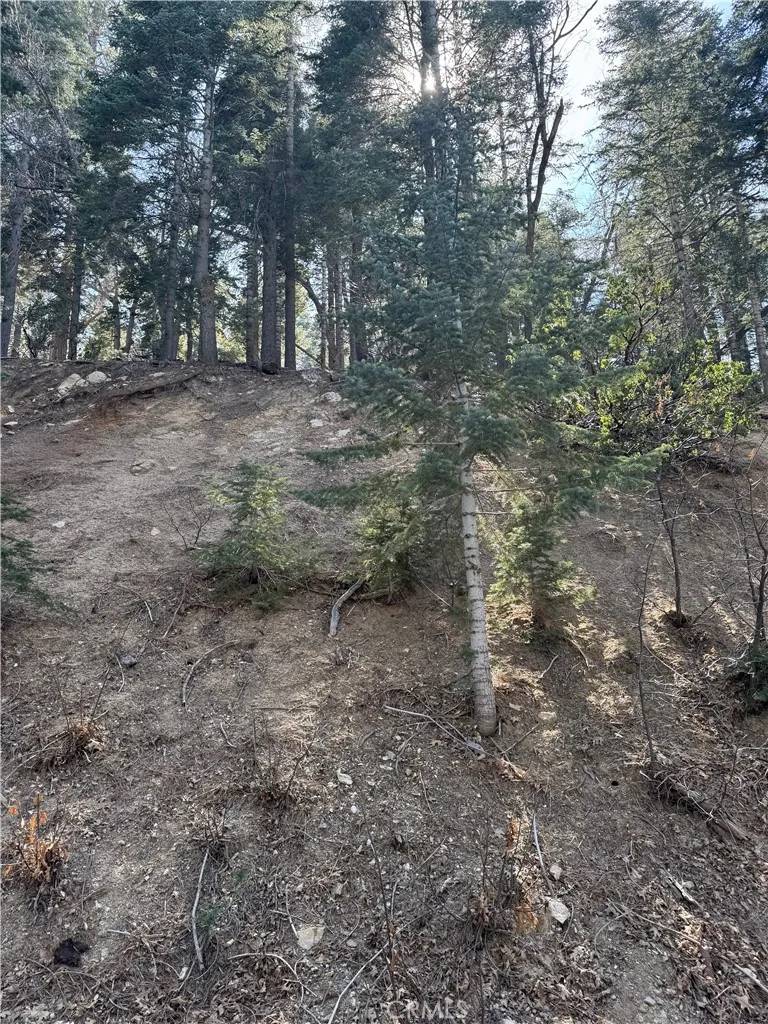 Lake Arrowhead, CA 92352,26537 Spyglass