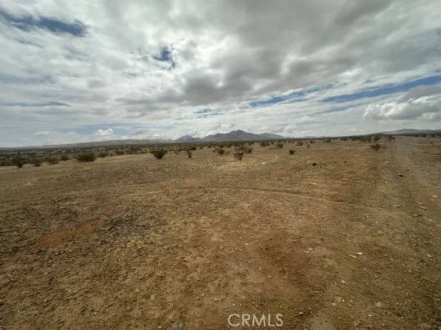 Helendale, CA 92342,0 Palomino