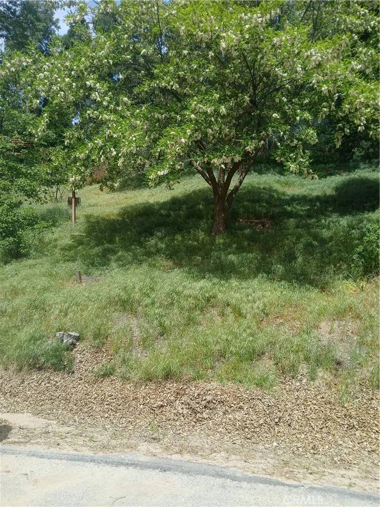 Crestline, CA 92325,0 Davos