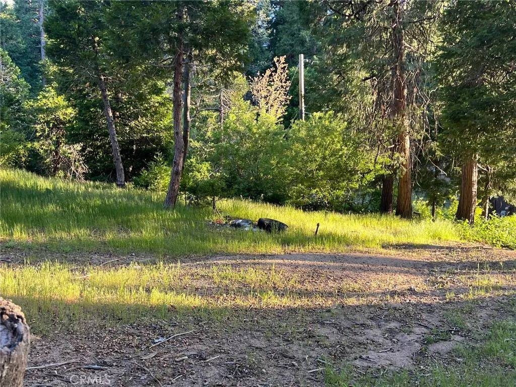 Cedar Glen, CA 92321,29038 Terrace