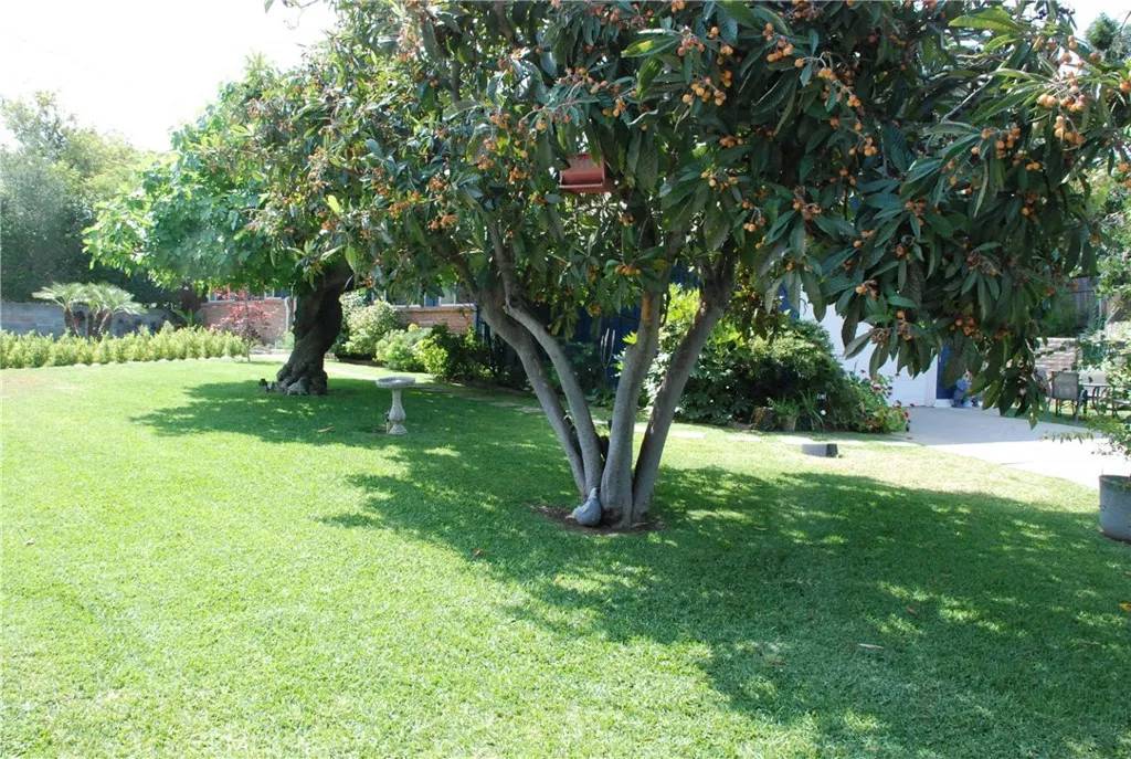 Redlands, CA 92373,360 Campbell Avenue