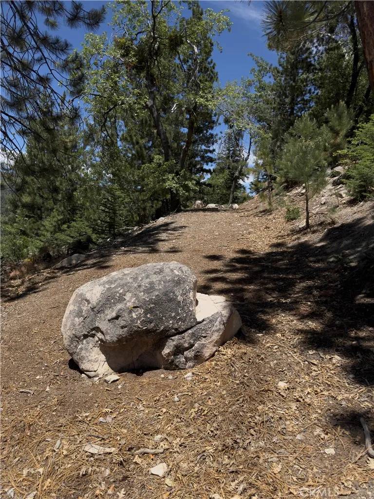Running Springs, CA 92382,2526 Ridge