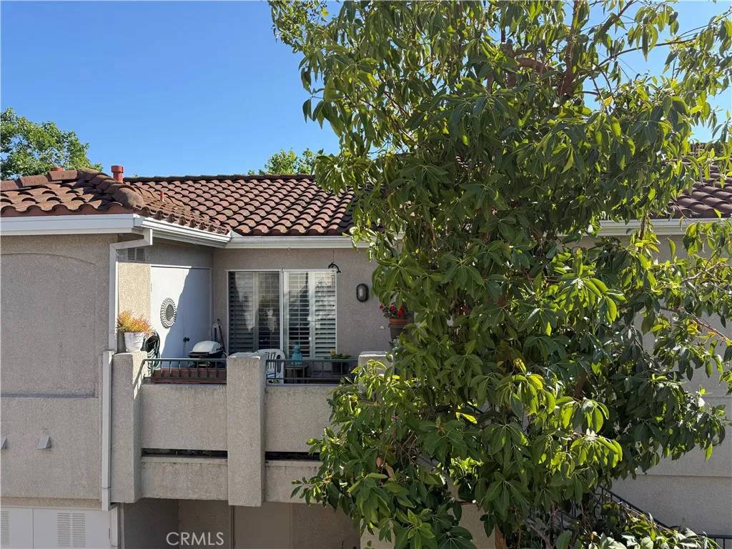 Aliso Viejo, CA 92656,225 Cinnamon Teal