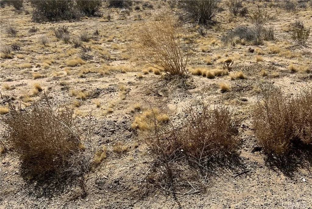 Unknown, CA 76028,0 Coachella Canal