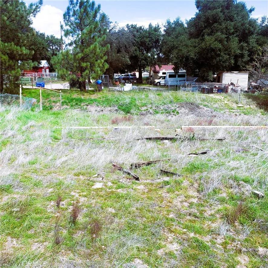 Boulevard, CA 91905,0 LILLIE