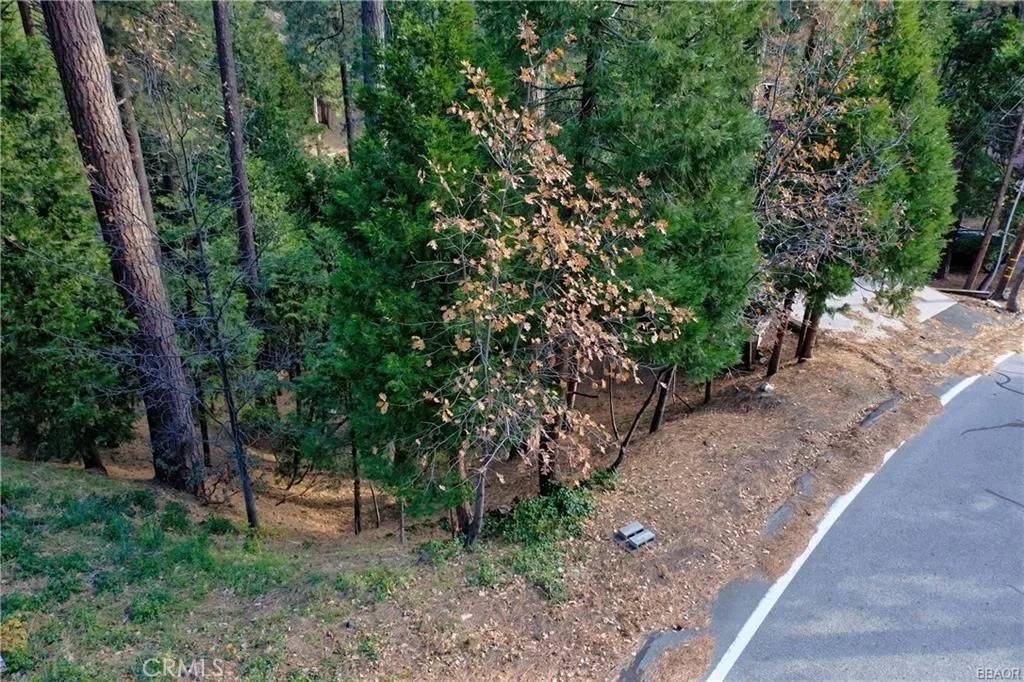 Lake Arrowhead, CA 92352,131 N Fairway