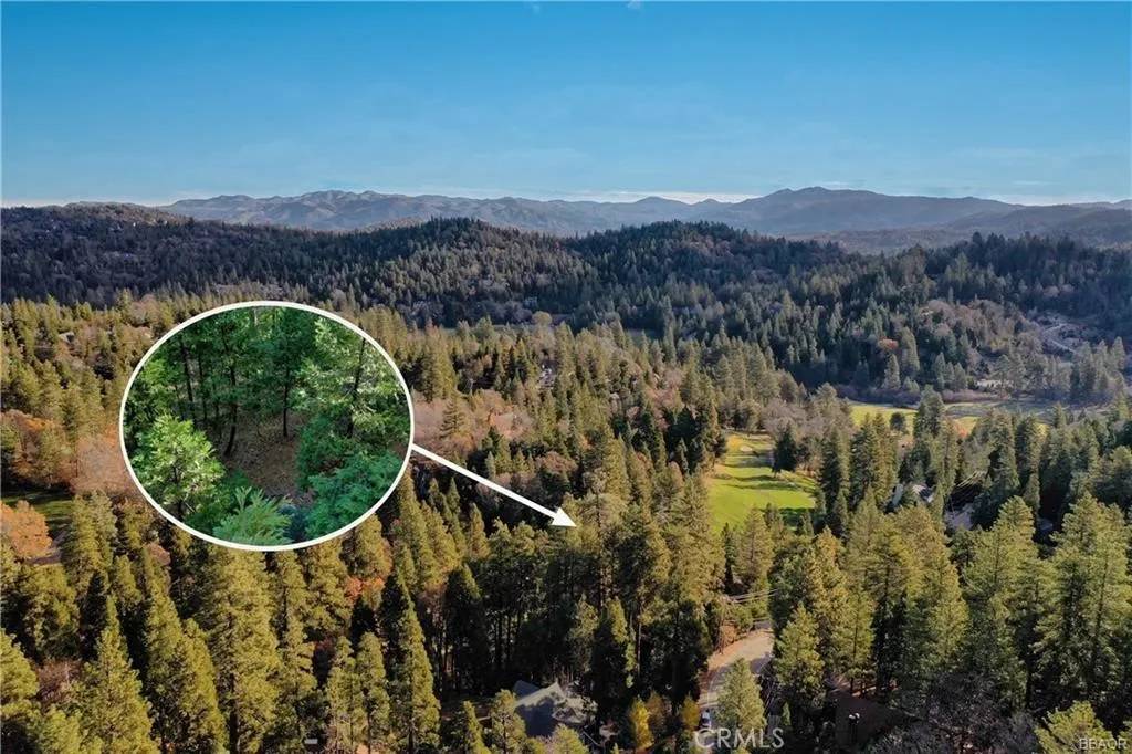 Lake Arrowhead, CA 92352,131 N Fairway