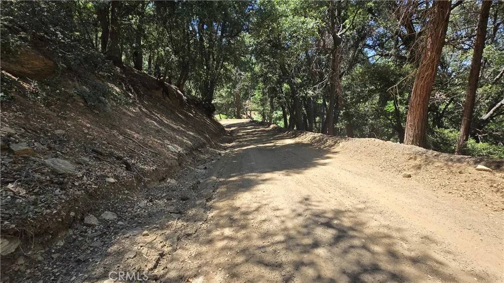 Cedarpines Park, CA 92322,0 Mojave River