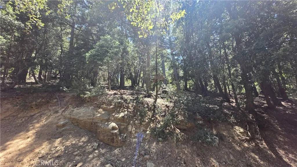 Cedarpines Park, CA 92322,0 Mojave River