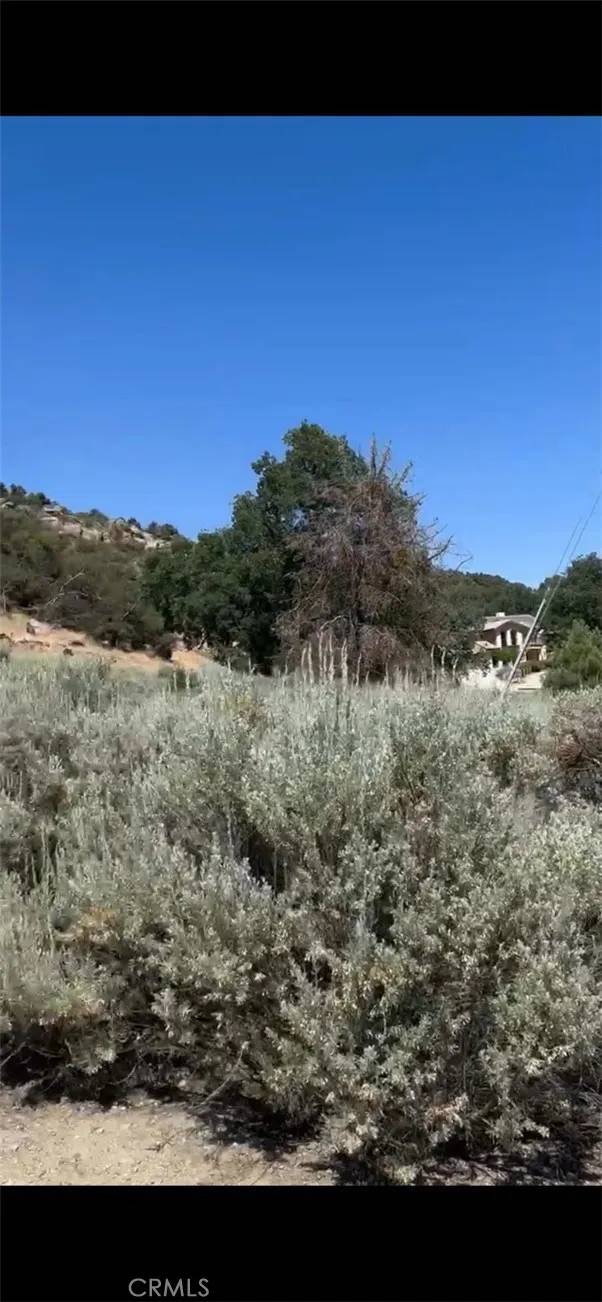 Tehachapi, CA 93561,24151 Jacaranda