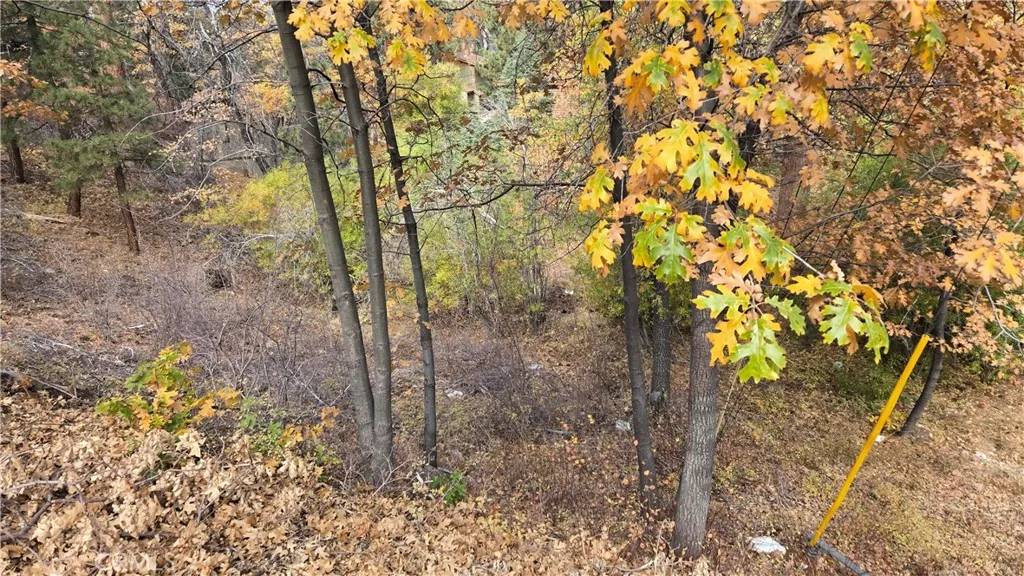 Big Bear, CA 92314,1000 Butte