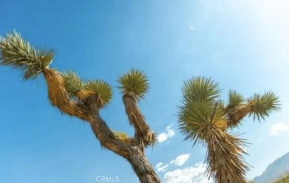 Palmdale, CA 93591,10 171st East