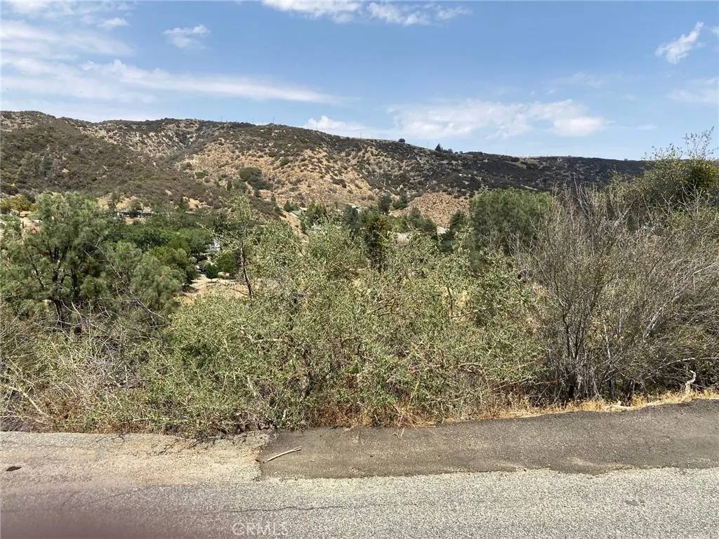Lake Hughes, CA 93532,0 Vac/Austin Way/Vic Newview