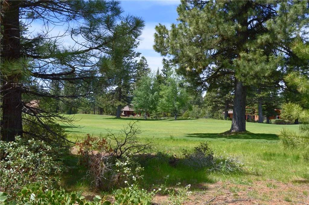 Lake Almanor, CA 96137,329 Flint