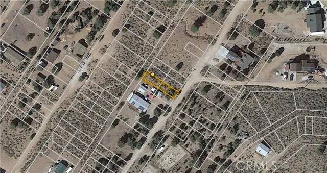 Baldwin Lake, CA 92314,0 Goldenrod