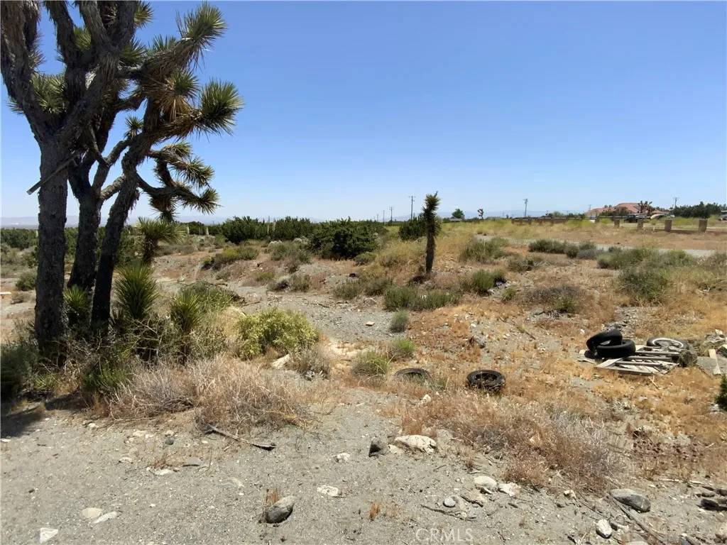 Pinon Hills, CA 92372,2975 Yucca Terrace