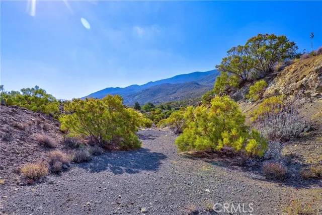 Mountain Center, CA 92561,65200 St Pierre