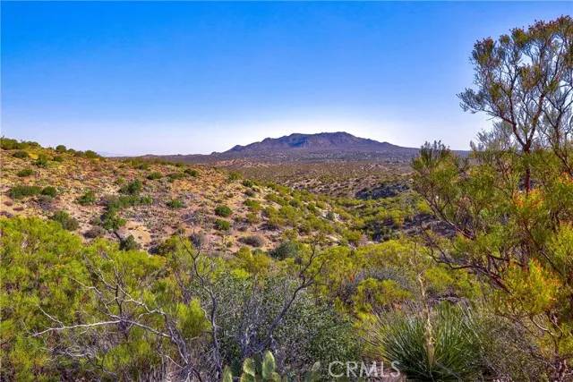Mountain Center, CA 92561,65200 St Pierre