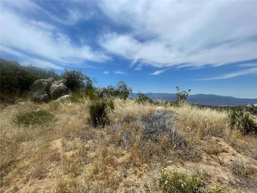 Aguanga, CA 92536,0 Roan Way