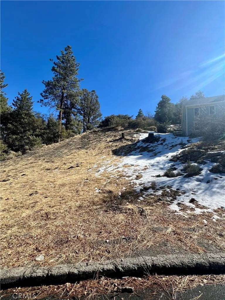 Wrightwood, CA 92397,5411 Shirley J
