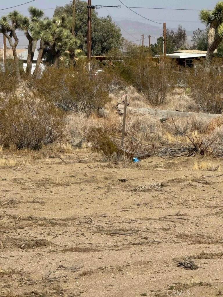 Phelan, CA 92371,5520 Luna Road
