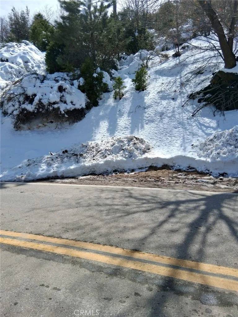 Cedar Glen, CA 92321,29602 Hook Creek