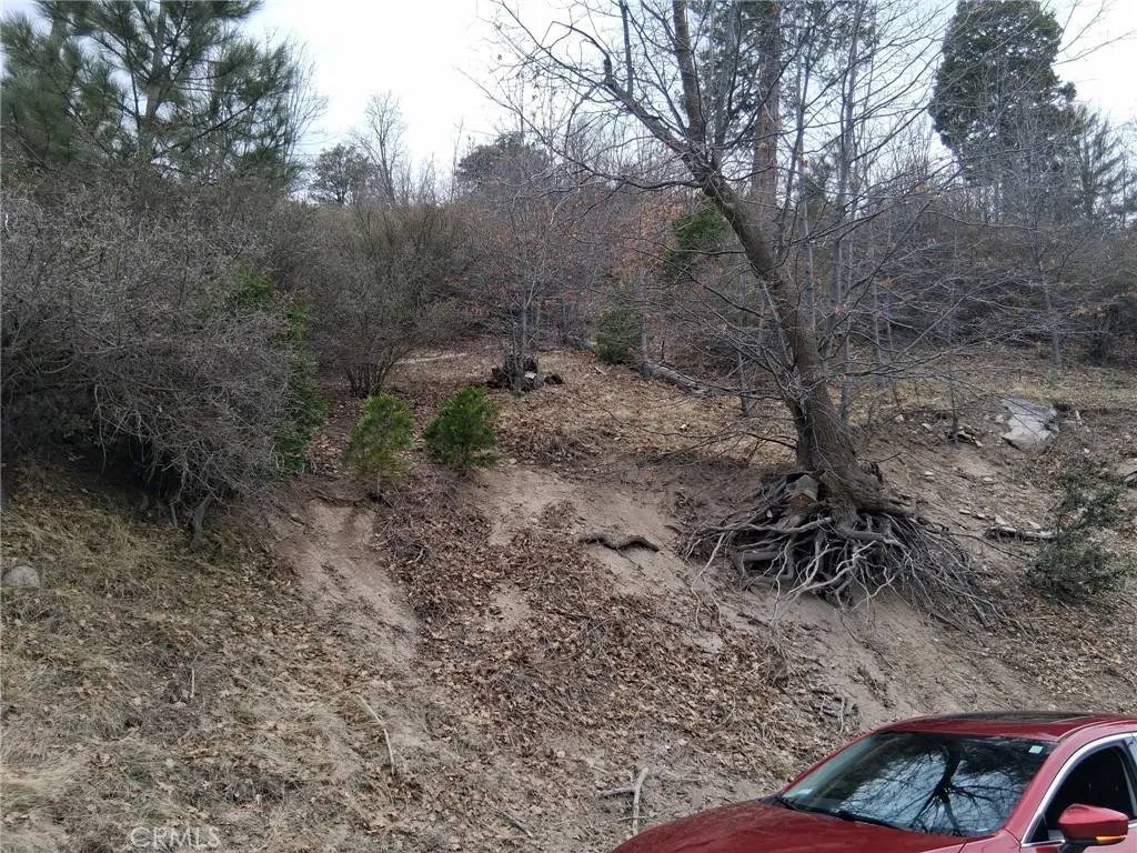 Cedar Glen, CA 92321,29602 Hook Creek