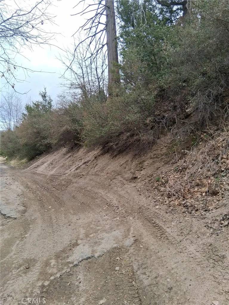 Cedar Glen, CA 92321,0 Pine