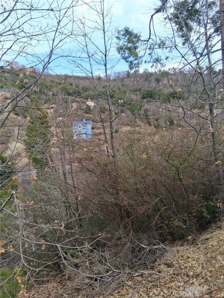 Cedar Glen, CA 92321,0 Pine