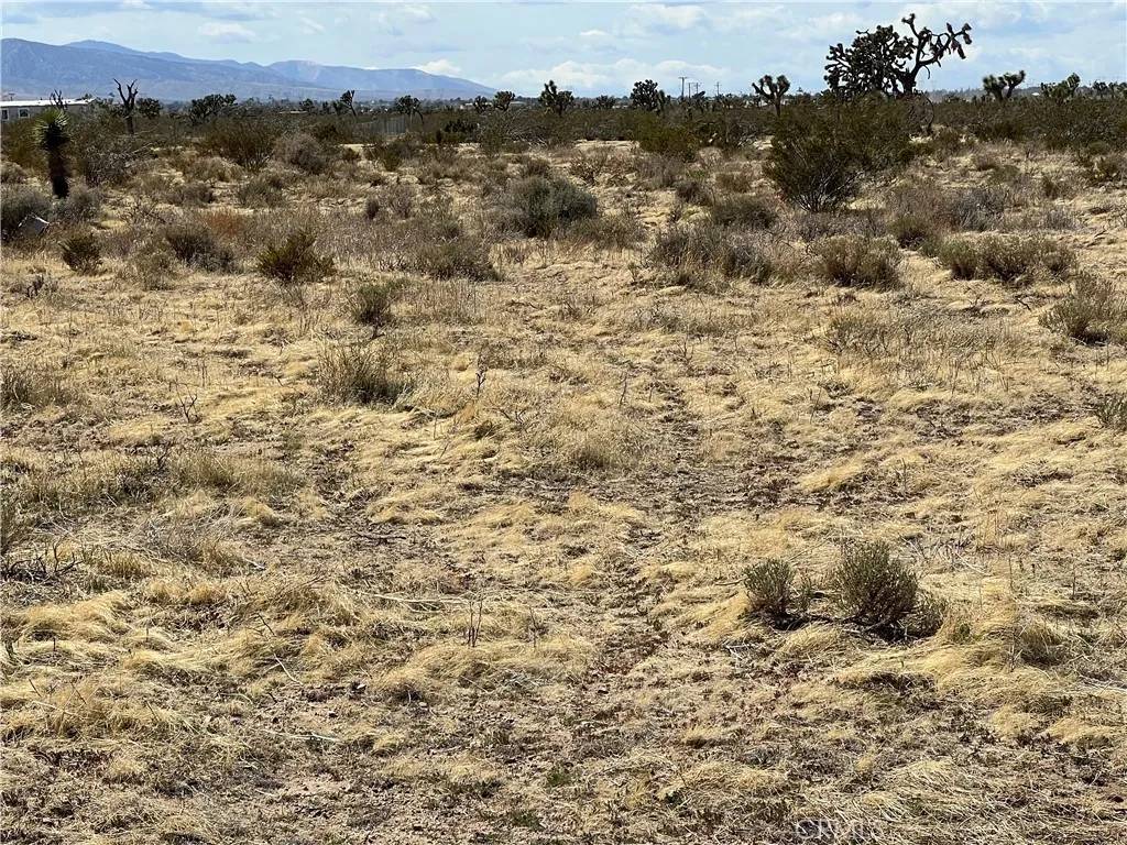 Phelan, CA 92371,0 Rochester