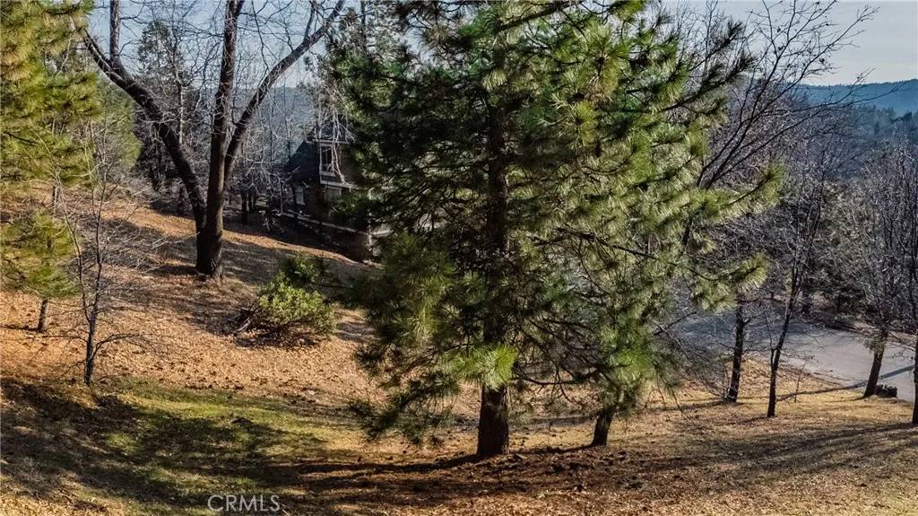 Lake Arrowhead, CA 92352,0 St Bernard