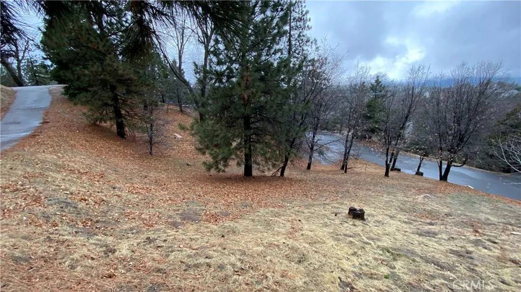 Lake Arrowhead, CA 92352,0 St Bernard