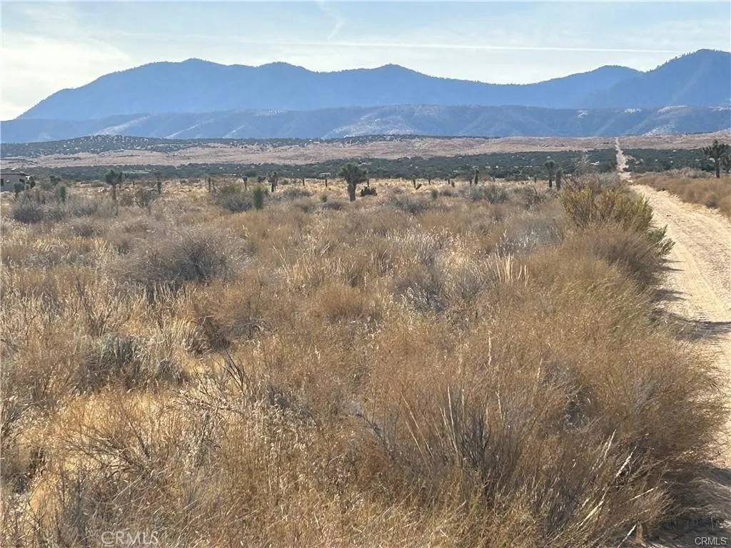 Llano, CA 93544,8 Fort Tejon