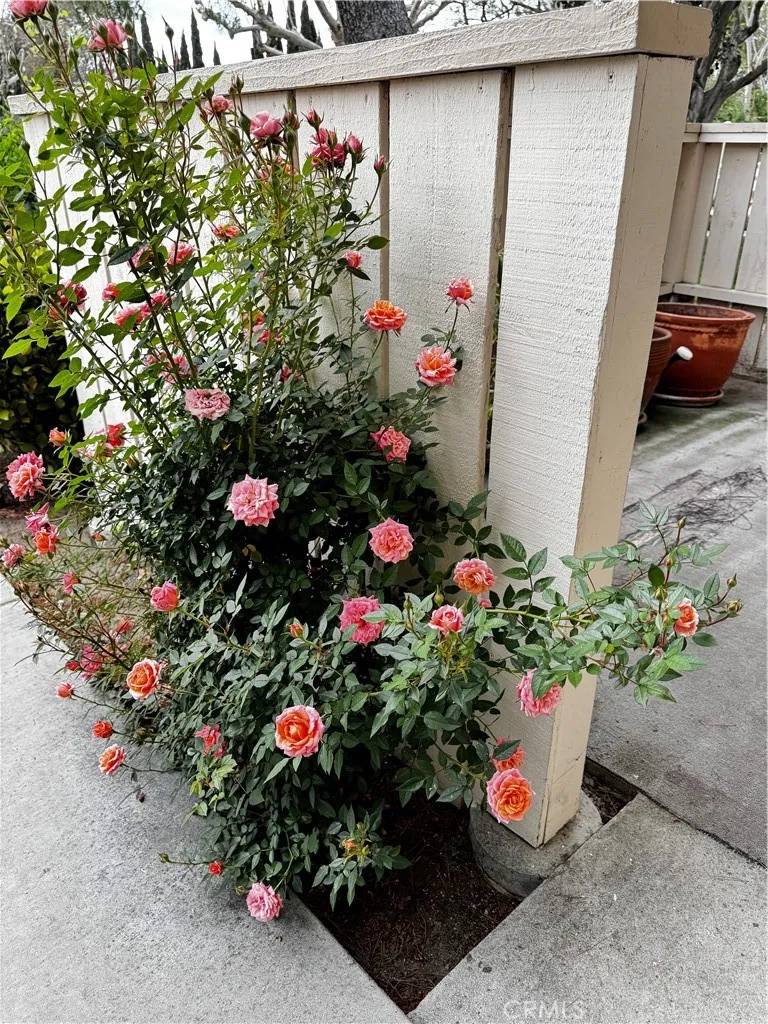 Brea, CA 92821,306 Calico Court