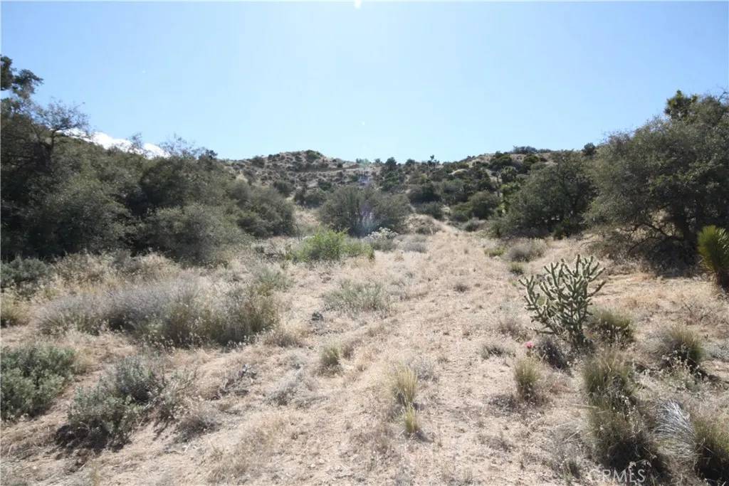 Pinon Hills, CA 92372,0 Montara