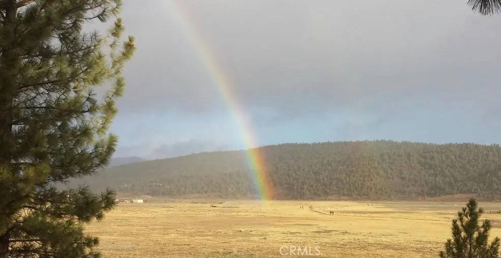 Big Bear City, CA 92314,2809 Cedar